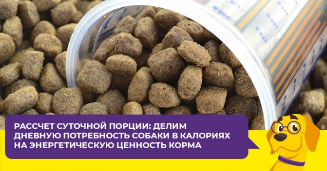 Как рассчитать количество сухого корма для щенка и взрослой собаки