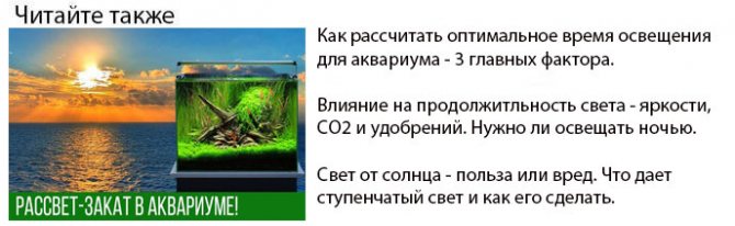 как рассчитать время освещения для аквариума и продолжительность светового дня