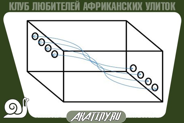 Как сделать правильную вентиляцию в террариуме