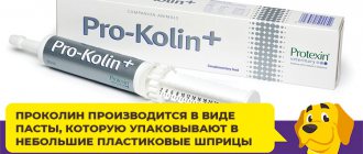 Как укрепить здоровье собаки с помощью препарата Проколин