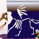 как выявить болезнь артрит у собаки