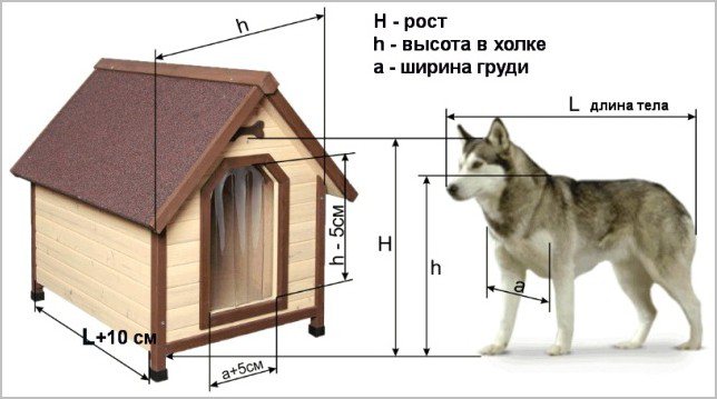 как замерить пса