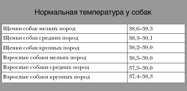 Какая нормальная температура у собак