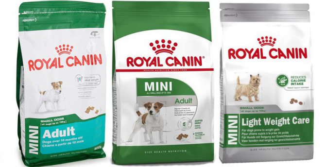 какой бывает Корм для собак Royal Canin (Роял Канин)