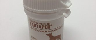 Кантарен для кошек