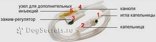 Капельница для собаки
