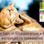Капли Барс для кошек от блох: инструкция по применению, отзывы