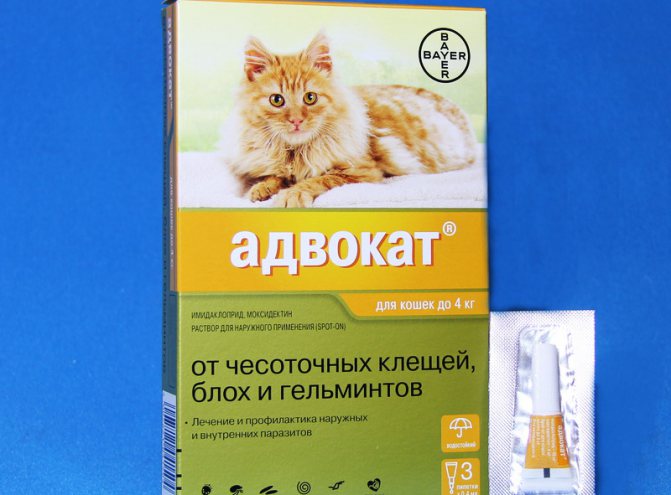 Капли для кошек
