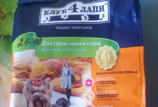 Клуб 4 лапы