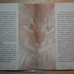 Книга про кошку