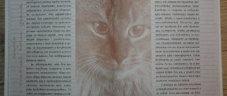 Книга про кошку