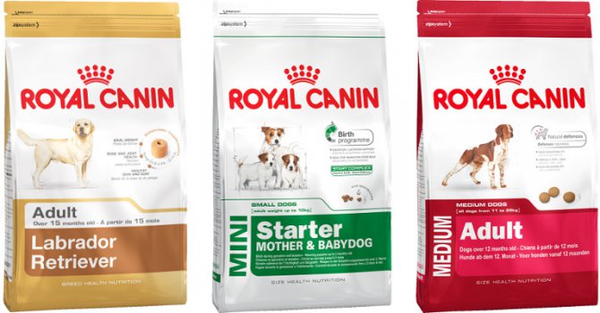 Корм для собак Royal Canin - отзывы