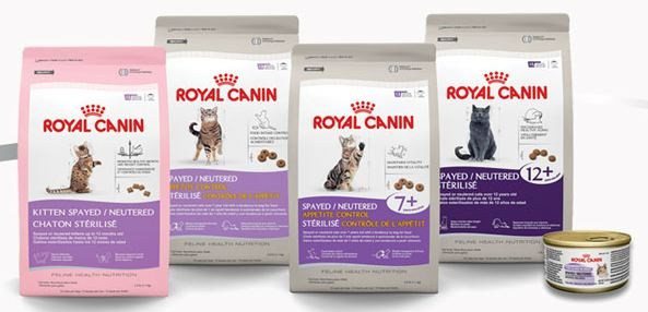 Корма сухие Royal Canin для кошек