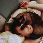 Кошка спит на голове хозяйки