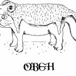 кот Овен