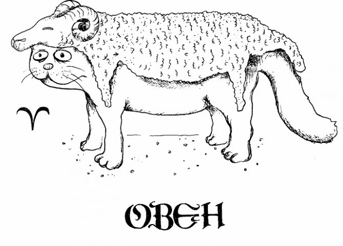 кот Овен