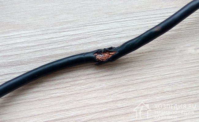 Крысы грызут все подряд, включая кабеля, и это часто наносит серьезный ущерб и приводит к пожарам