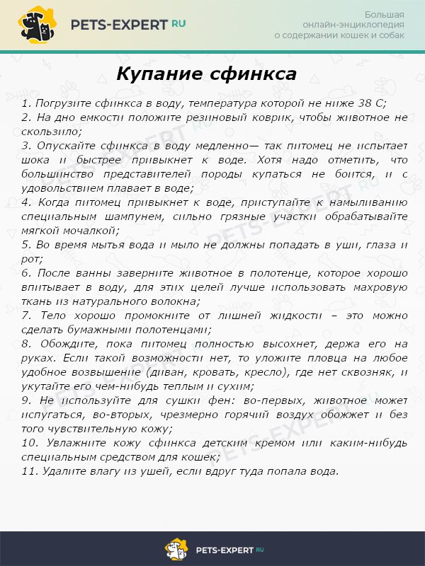 Купание сфинкса