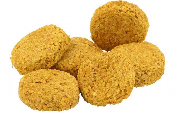 Лакомство для попугая