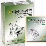 Лактобифадол