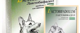Лактобифадол