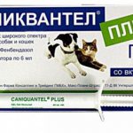Лечение Каниквантелом собак
