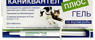 Лечение Каниквантелом собак
