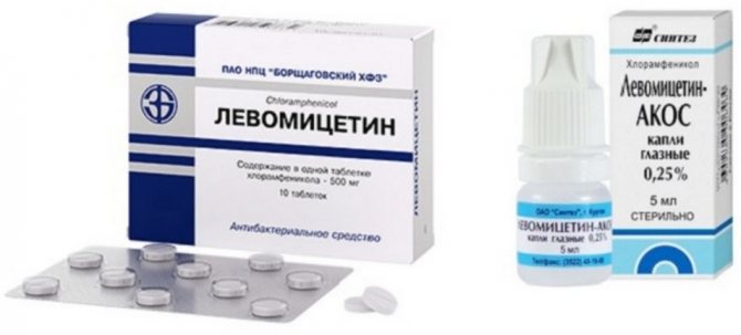 «Левомицетин» для кошек