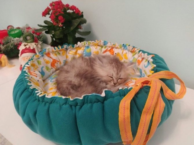 Лежанка для кошки