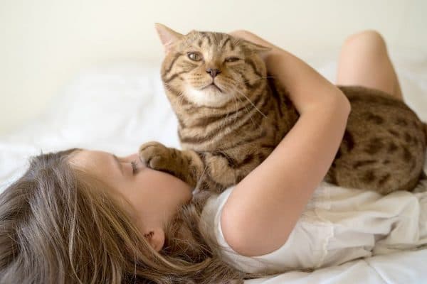 Люди которые любят кошек