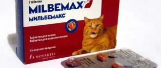 Мильбемакс для кошек