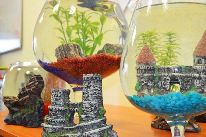 Мобильные переносные мини водоёмы