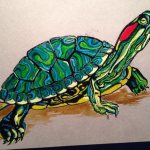 Нарисованная красноухая черепаха