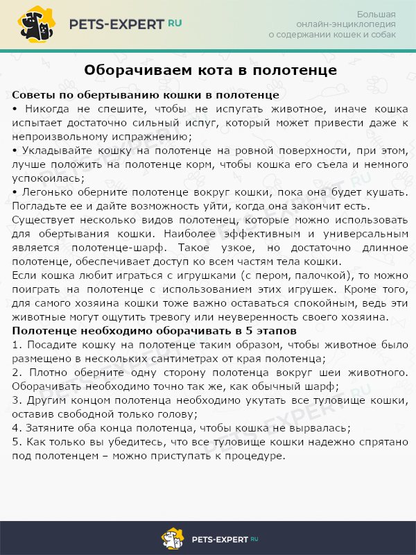 Оборачиваем кота в полотенце