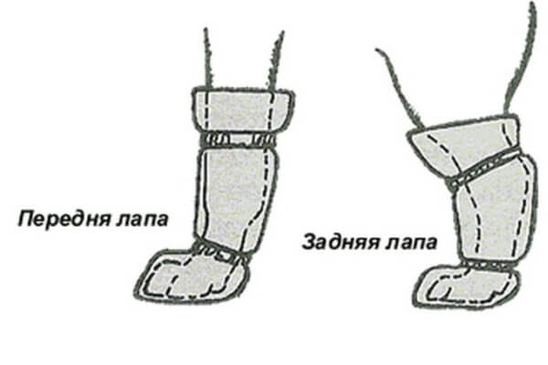Обувь для собак