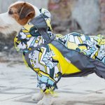 Одежда для джек рассел терьера своими руками: выкройки, схемы, фото