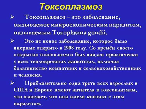 Опасен ли укус хомяка? Последствия, чем опасен для ребенка?
