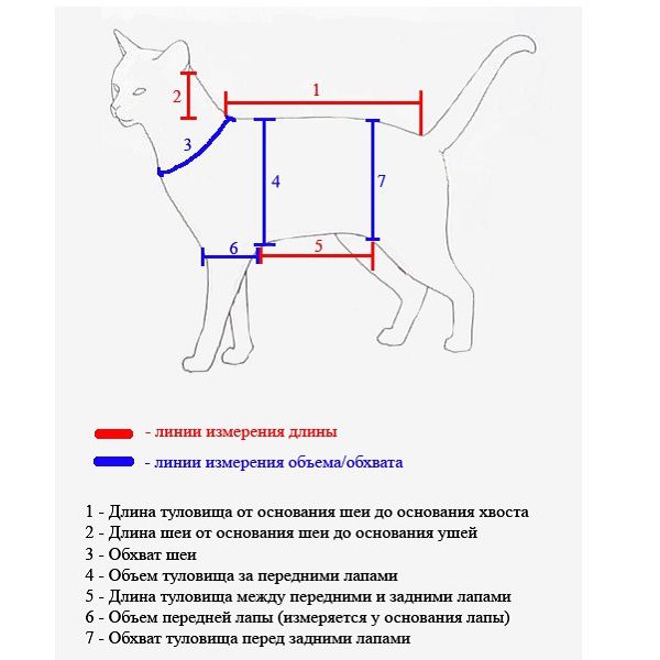 Основные замеры для пошива одежды коту