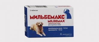 От гельминтов у животных