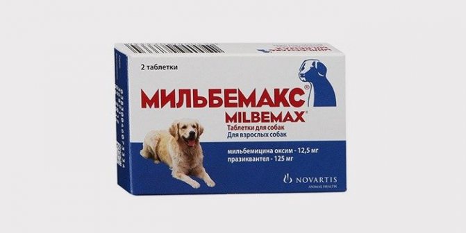 От гельминтов у животных