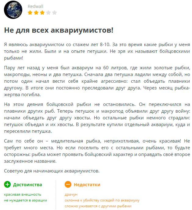 отзыв