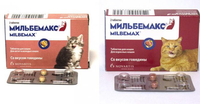 Побочные эффекты мильбемакса минимальны и проходят в течение суток