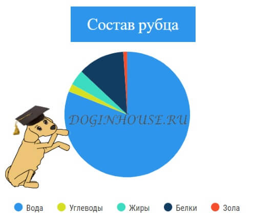 Польза рубца для собак