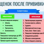 После прививки у собаки понос?