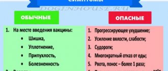 После прививки у собаки понос?