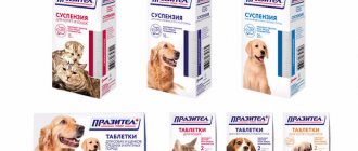 Празител