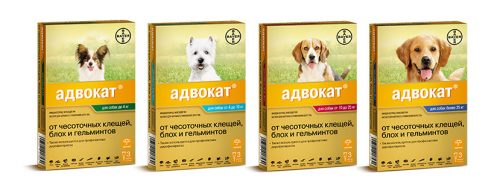 Препарат для собак от насекомых Адвокат