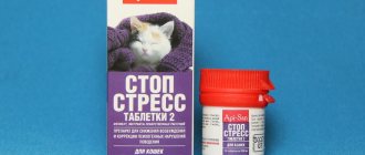 Препарат Стоп стресс для кошек