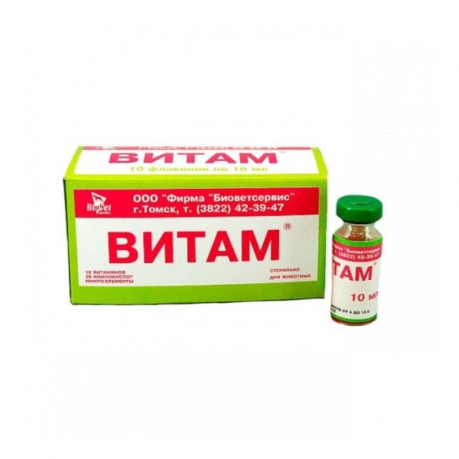 Препарат Витам для кошек