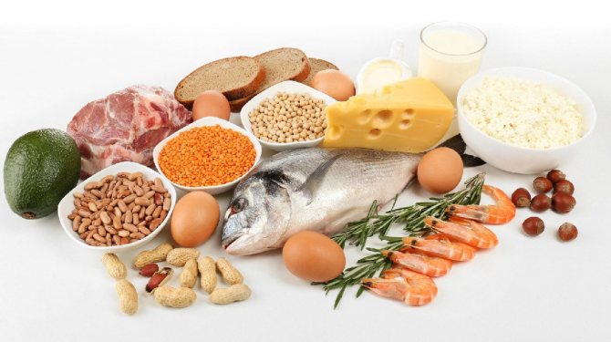 Продукты, богатые белком